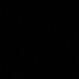 Meet your Posher, Paige